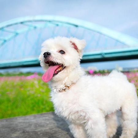 Pastoral Riverside 冬山郷 エクステリア 写真